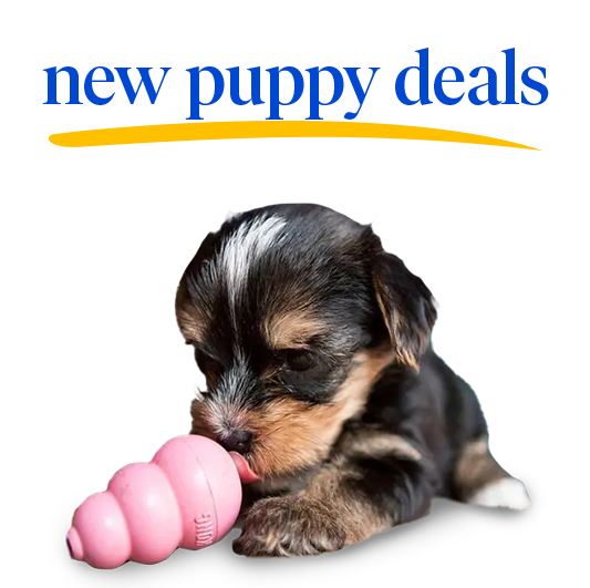 For your new puppy